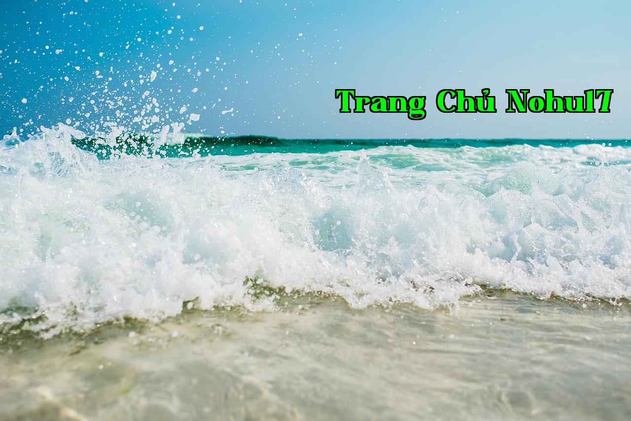 Nền tảng không quan trọng, con người mới là yếu tố quyết định - Sumvip Club Game Bài 2024