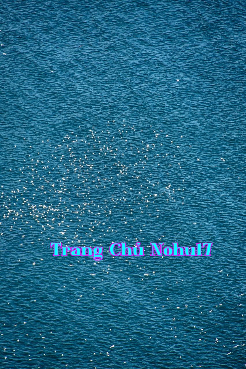 Như Một Đêm Trôi Qua - p88 nhà cái